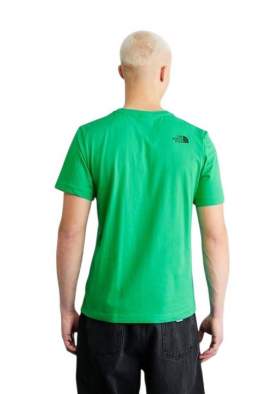 Купить The North Face SS Fine Alpine Equipment Tee 3 - Eu, Optic Emerald The North Face SS Fine Alpine Equipment Tee 3 - Eu, Optic Emerald