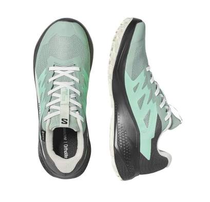 Купить Salomon ALPHAGLIDE GTX W, Green M Asphalt-Clearly Aqua Salomon ALPHAGLIDE GTX W, Green M Asphalt-Clearly Aqua