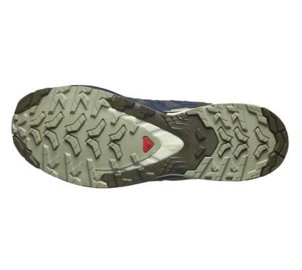Купить Salomon XA PRO 3D v9, Indink Olvnig Aloewa Salomon XA PRO 3D v9, Indink Olvnig Aloewa