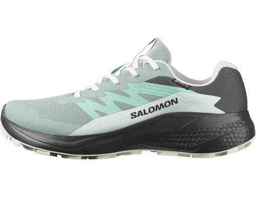 Купить Salomon ALPHAGLIDE GTX W, Green M Asphalt-Clearly Aqua Salomon ALPHAGLIDE GTX W, Green M Asphalt-Clearly Aqua