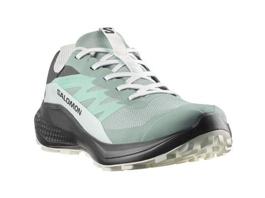 Купить Salomon ALPHAGLIDE GTX W, Green M Asphalt-Clearly Aqua Salomon ALPHAGLIDE GTX W, Green M Asphalt-Clearly Aqua