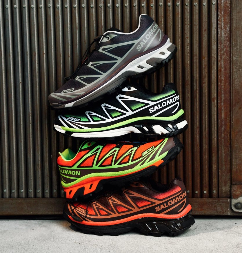 Поступление Salomon Поступление Salomon